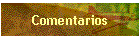 Comentarios