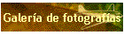 Galera de fotografas